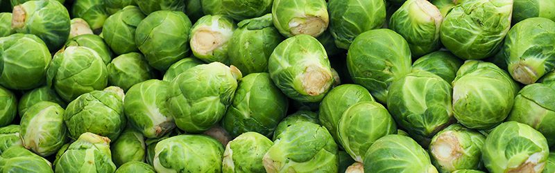 Brussels-Sprouts_KYC_Featured_Image