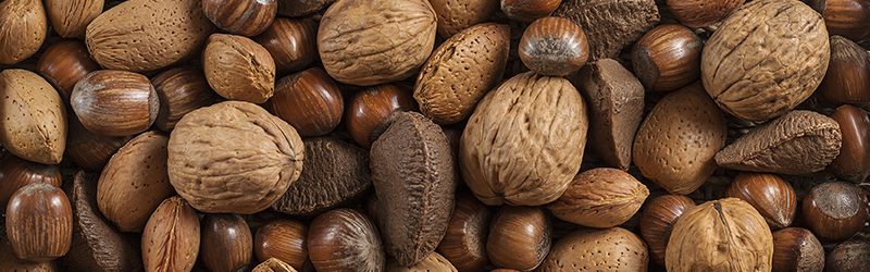 Tree-Nuts_KYC_Featured_Image
