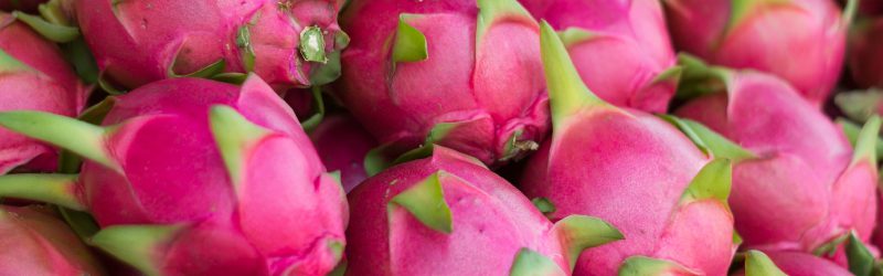 When is dragon fruit season? - Best time!