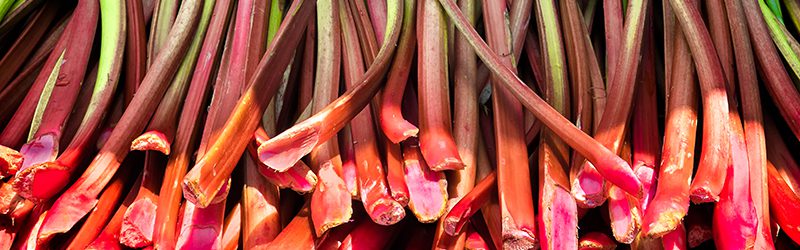 Rhubarb Market Summary - Produce Blue Book