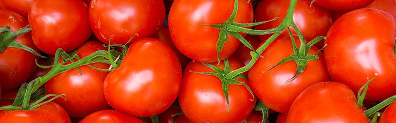 Tomatoes_KYC_Featured_Image