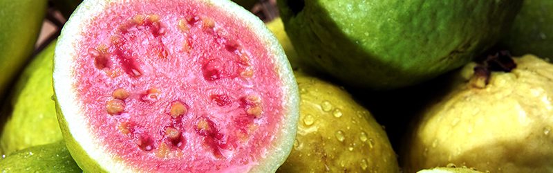 Guava_KYC_Featured_Image