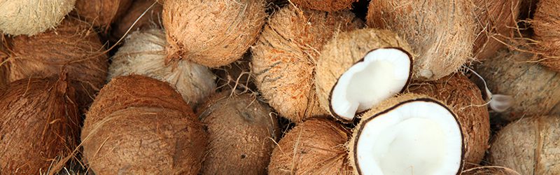 Coconuts_KYC_Featured_Image