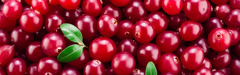 Cranberries_KYC_Featured_Image