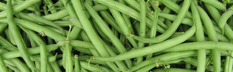 French-Beans_KYC_Featured_Image
