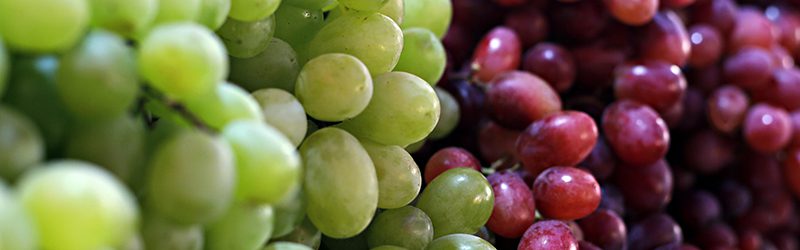 Grapes_KYC_Featured_Image