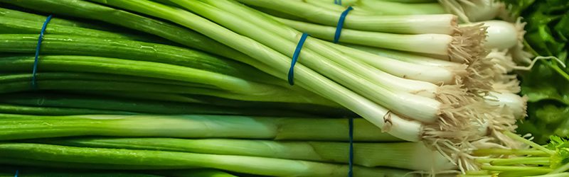 Green-Onions_KYC_Featured_Image