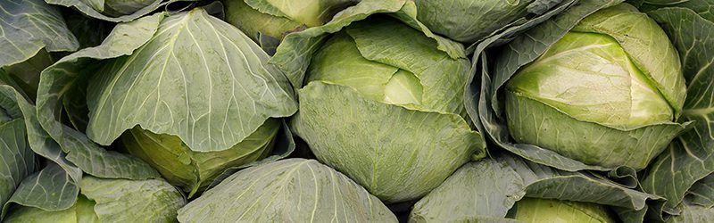 Cabbage_KYC_Featured_Image
