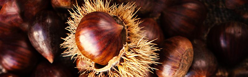Chestnuts_KYC_Featured_Image