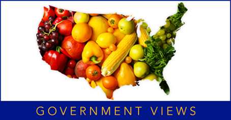 Government Views