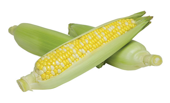 KYC-Sweet-Corn