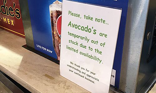 avocado shortage