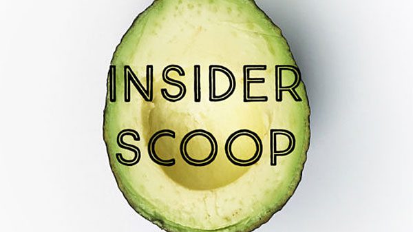 avocado insider scoop