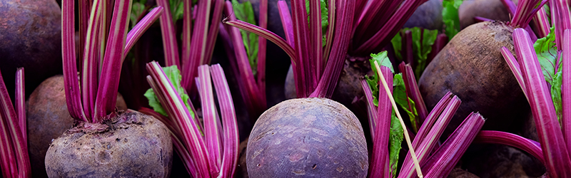 Beets_KYC_Featured_Image