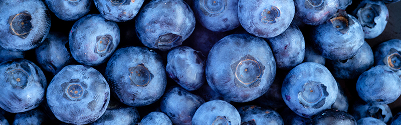 Blueberries_KYC_Featured_Image