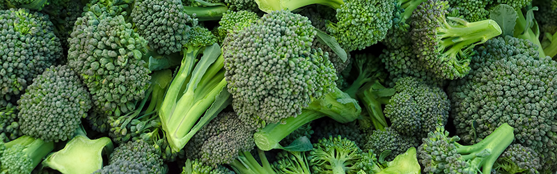 Broccoli_KYC_Featured_Image