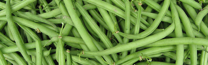 French bean