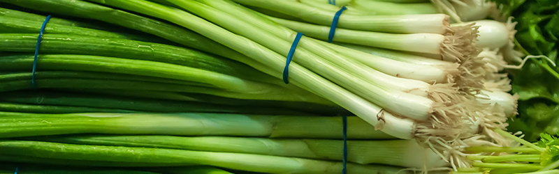 Green Onions_KYC_Featured_Image