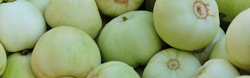 Orange-Fleshed Honeydew Melon Information and Facts