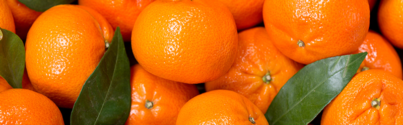 Mandarin Citrus, varieties, production, seasonality