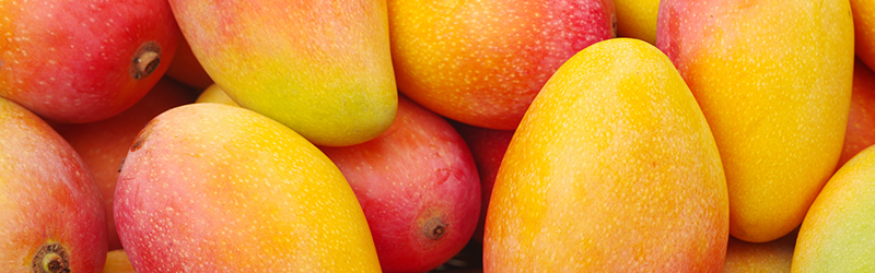 Mango Varieties - Types of Mangoes