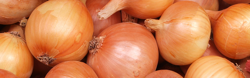 Onions_KYC_Featured_Image