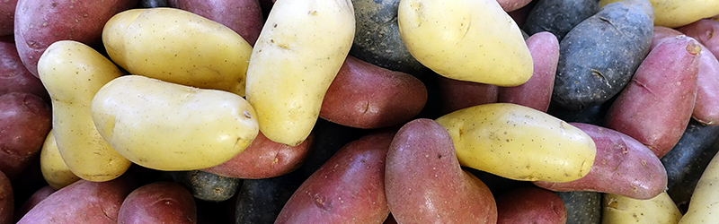 Potatoes_KYC_Featured_Image