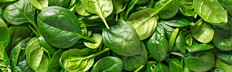 Spinach_KYC_Featured_Image