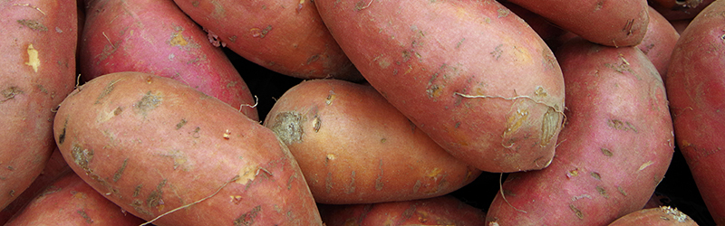Sweet Potatoes_KYC_Featured_Image