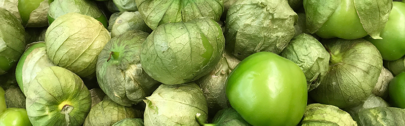 Tomatillo_KYC_Featured_Image