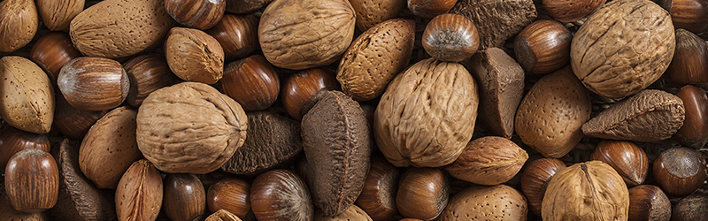Tree Nuts_KYC_Featured_Image