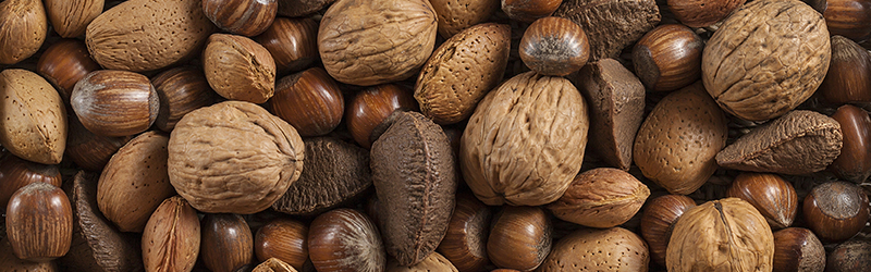 Usda Walnut Color Chart