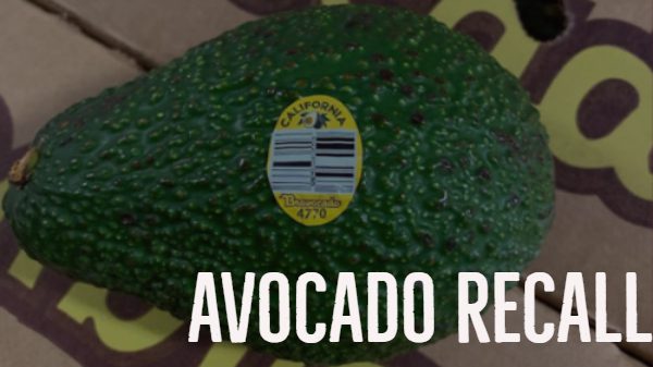 henry avocado recall