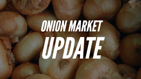 Shallot Market Summary - Produce Blue Book