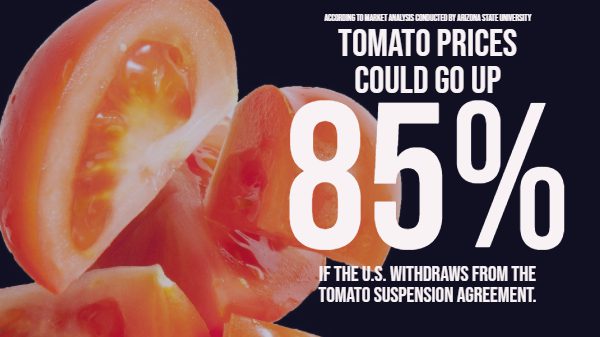 tomato suspension price analysis