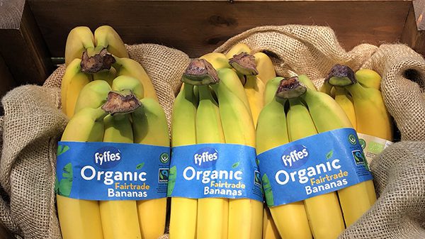 Fyffes-Organic-Bananas-3