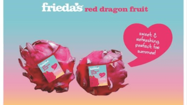 friedas red dragon fruit web