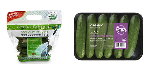 wilson mini cucumbers