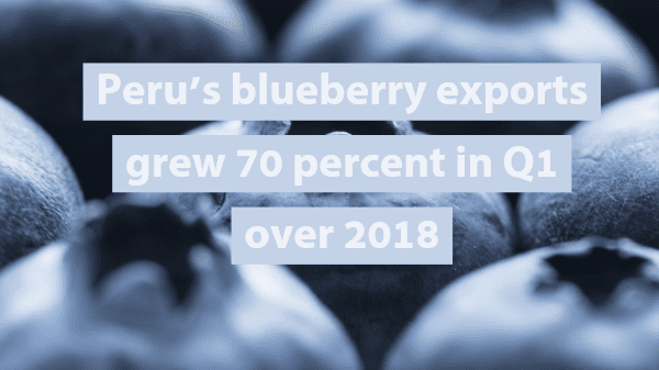 peru blueberries 6-5-19