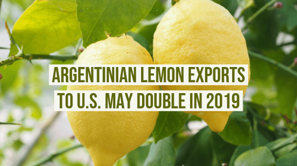 argentina lemons web