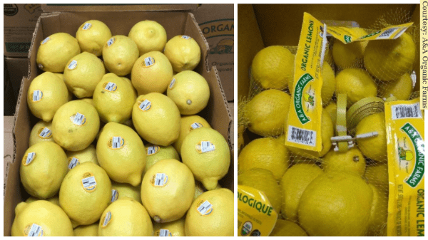 AA organic lemons