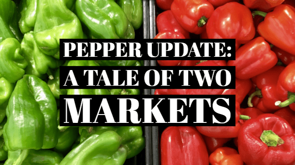 pepper update