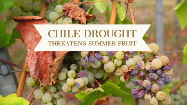 chile drought
