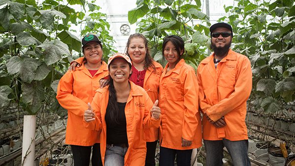 NatureSweet Tomatoes _ Ganfer Green House Produce _ Leadership Team _ 2018 _ Mexico
