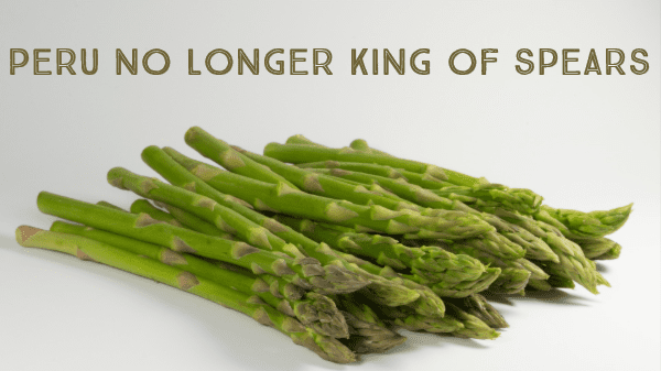 peru asparagus 11-18-19