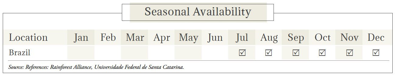 Acai Seasonal Availability Chart