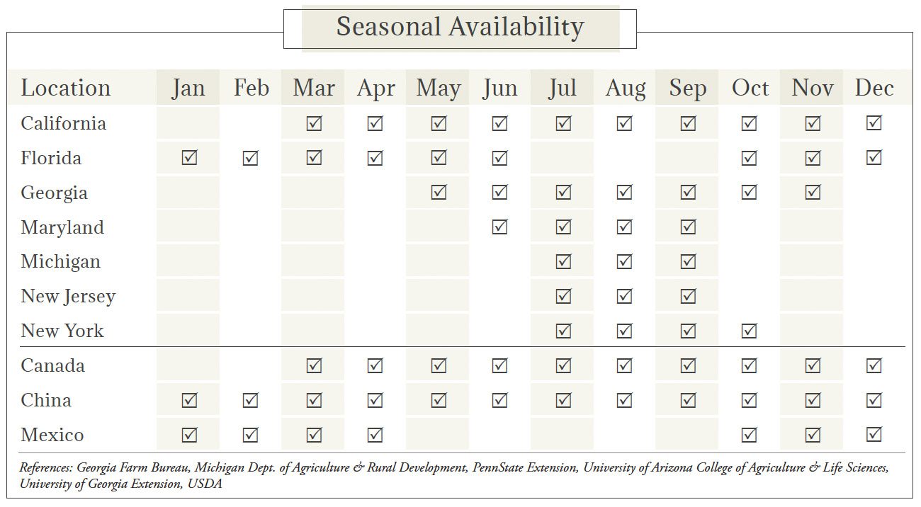 Beans: Lima & Snap Seasonal Availability Chart