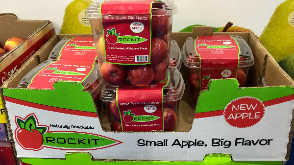 Rockit Apple  Perfect Snack-Size Apples grown in Chelan, Wa - Chelan Fresh
