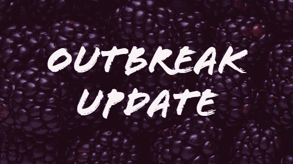 blackberry outbreak