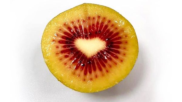 trucco-red-kiwifruit